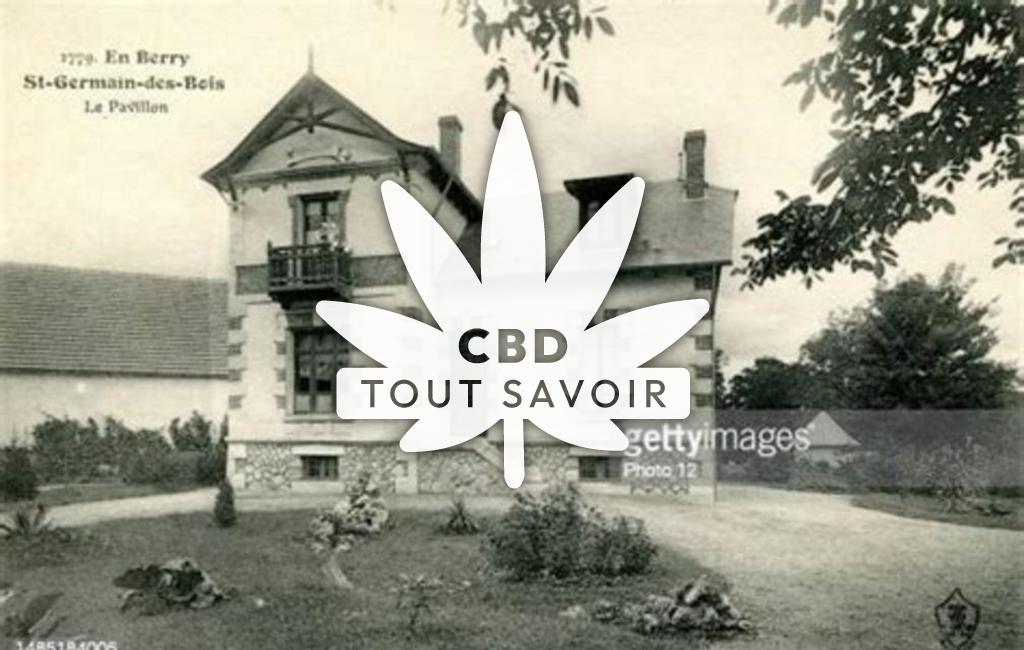 Village à Saint-Germain-des-Bois avec feuille Cannabis CBD