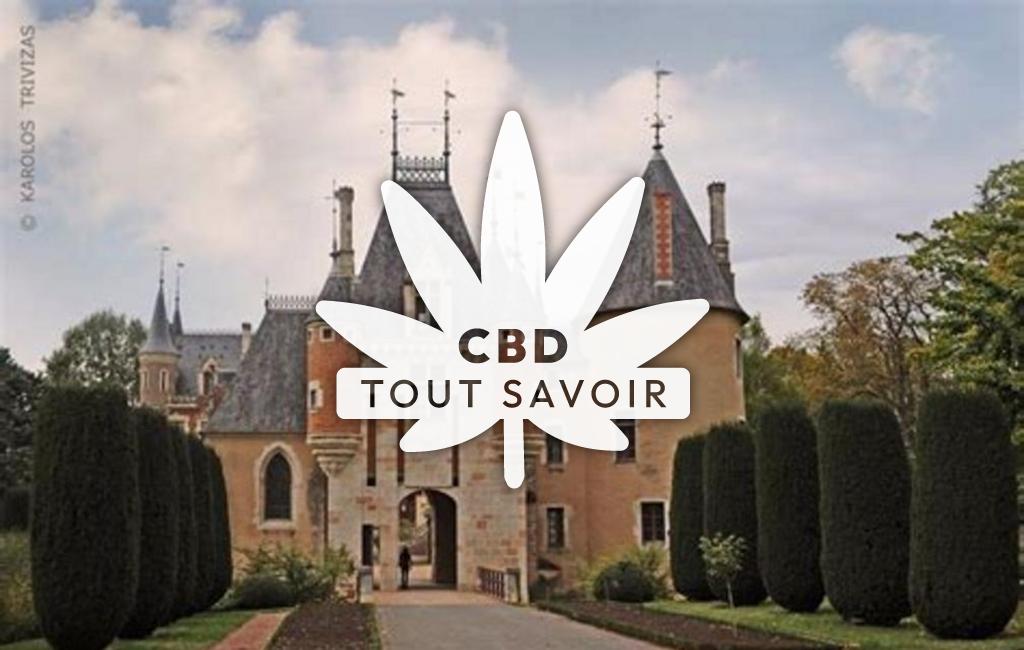 Village à Saint-Florent-sur-Cher avec feuille Cannabis CBD