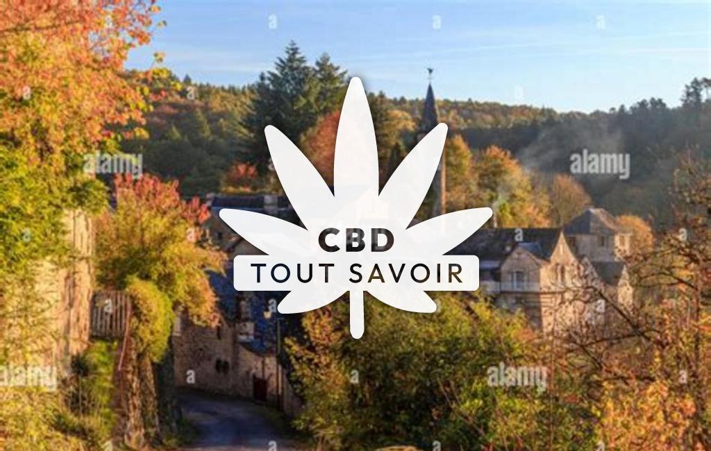 Village à La-Roche-Canillac avec feuille Cannabis CBD