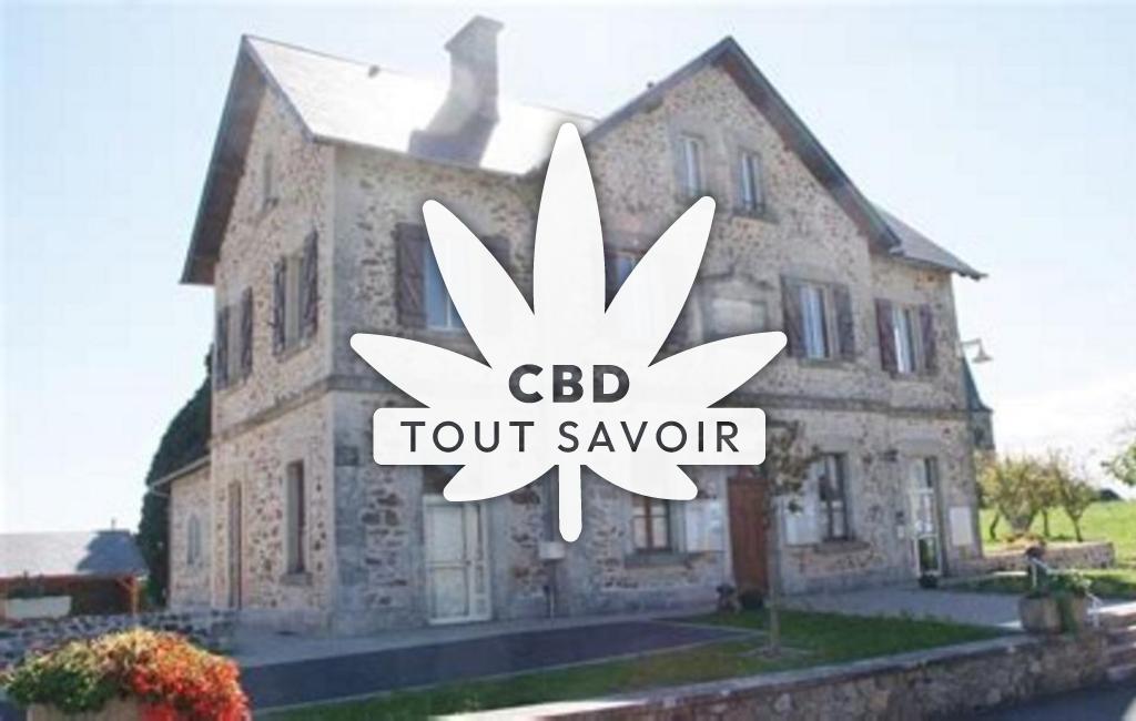 Village à Saint-Bonnet-Elvert avec feuille Cannabis CBD