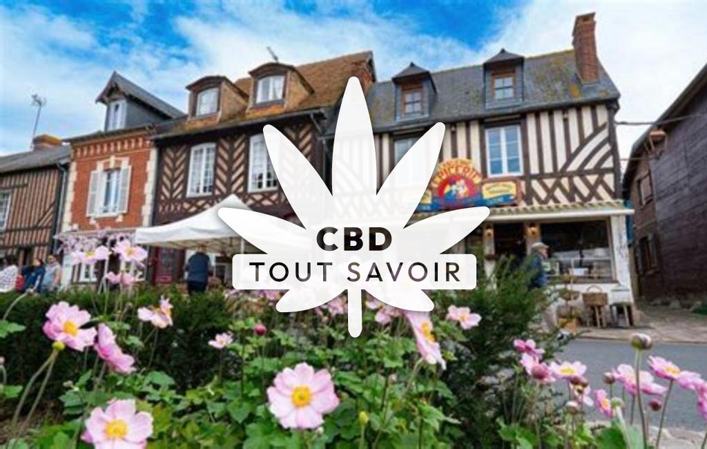 Village dans le Calvados avec feuille Cannabis CBD